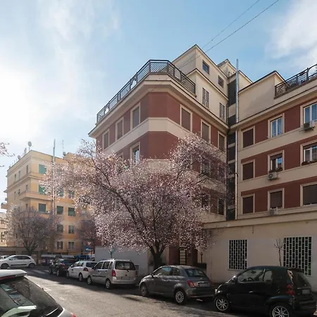 Mm Cipro Flat * Rome